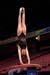 1D3_0080_LindseyC