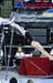 11NCAAR6K_08514_CassidyM