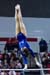11Fla1D_03953_AliciaGoodwin_Fla