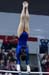 11Fla1D_03960_ElizabethMahlich_Fla